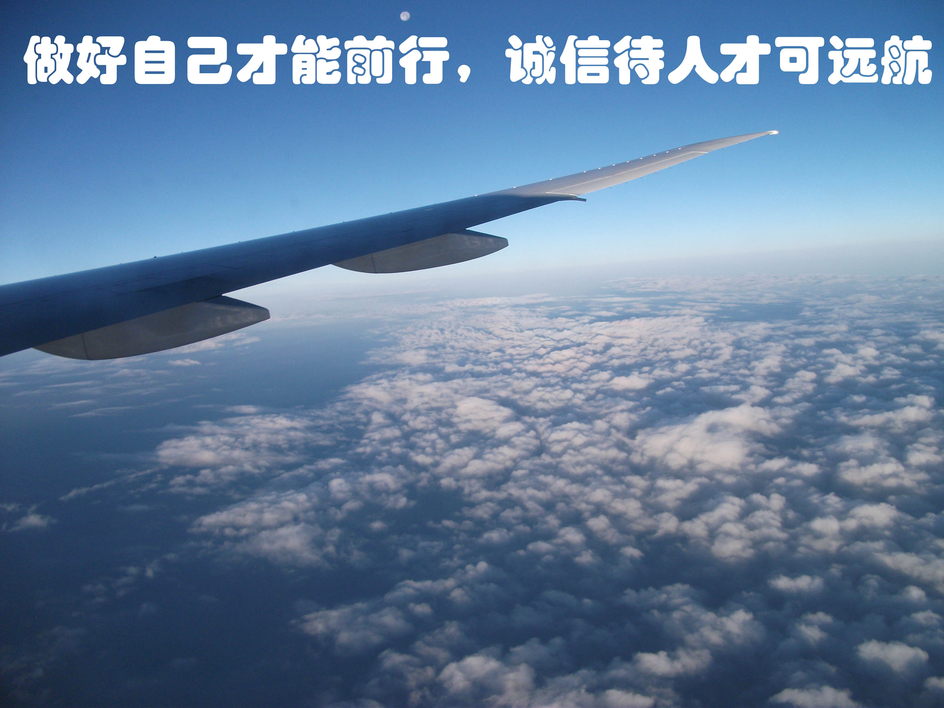 山東鼎毅